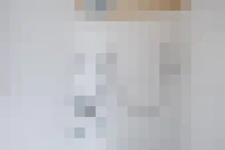 Dreef 70 Vroomshoop thumbnail 29