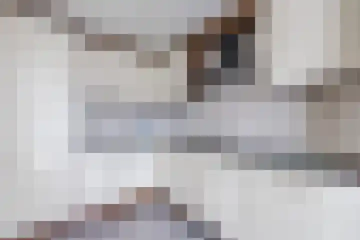 Dreef 70 Vroomshoop foto 3