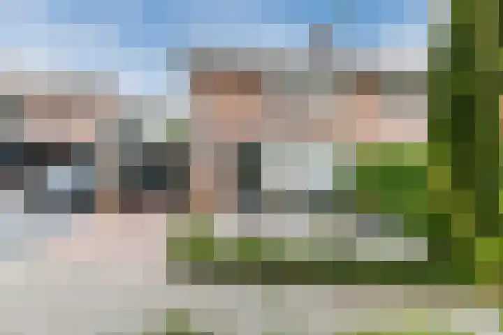 Dreef 70 Vroomshoop thumbnail 30