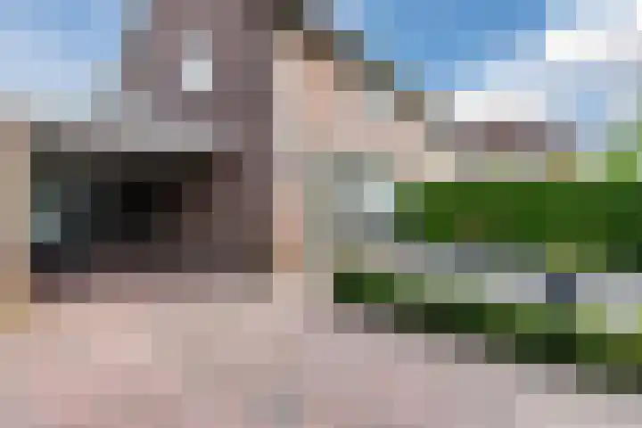 Dreef 70 Vroomshoop thumbnail 32