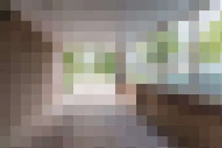 Dreef 70 Vroomshoop thumbnail 34