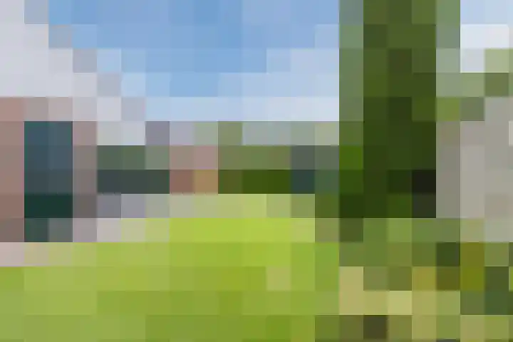 Dreef 70 Vroomshoop thumbnail 38