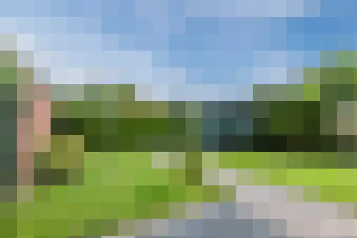 Dreef 70 Vroomshoop thumbnail 39