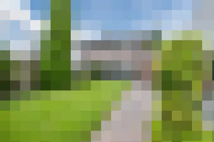 Dreef 70 Vroomshoop thumbnail 4