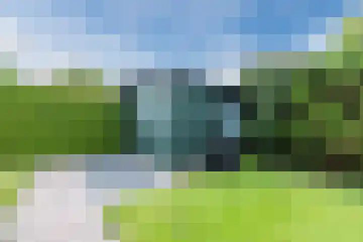 Dreef 70 Vroomshoop thumbnail 40