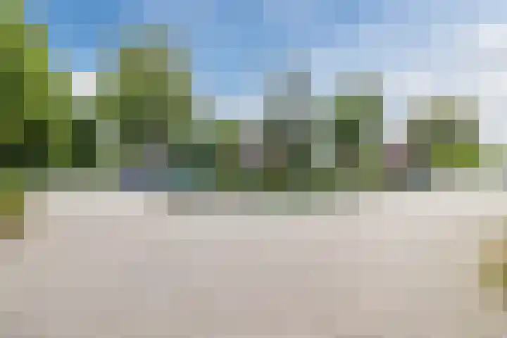 Dreef 70 Vroomshoop thumbnail 41