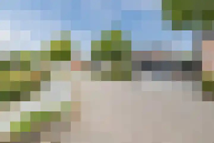 Dreef 70 Vroomshoop thumbnail 42
