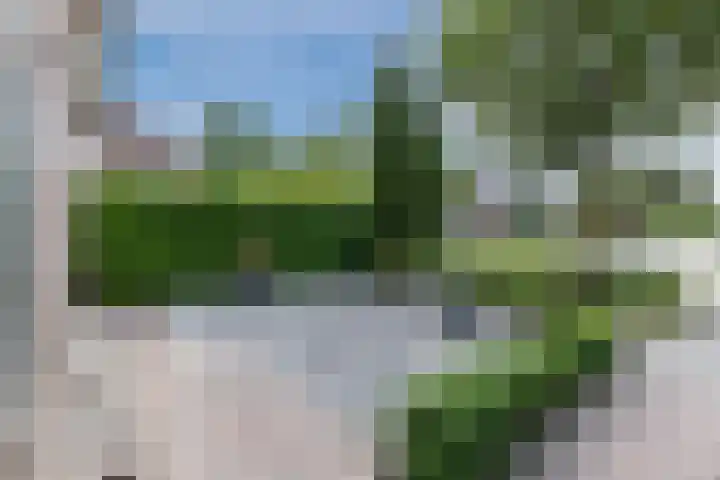 Dreef 70 Vroomshoop thumbnail 43