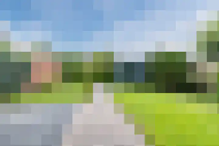 Dreef 70 Vroomshoop thumbnail 5