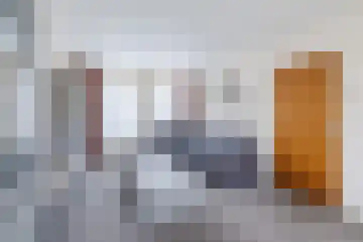 Dreef 70 Vroomshoop thumbnail 7