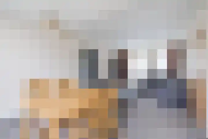 Dreef 70 Vroomshoop thumbnail 9