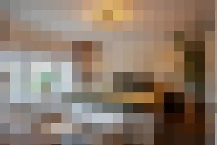 Dreef 72 Veldhoven thumbnail 21