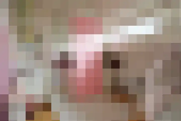 Dreef 72 Veldhoven thumbnail 27