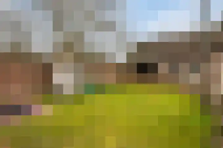 Dreef 72 Veldhoven thumbnail 34