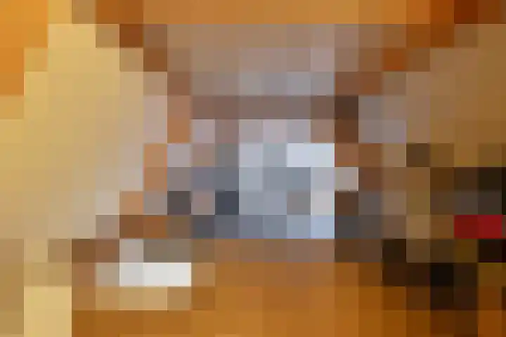 Dreef 72 Veldhoven thumbnail 41