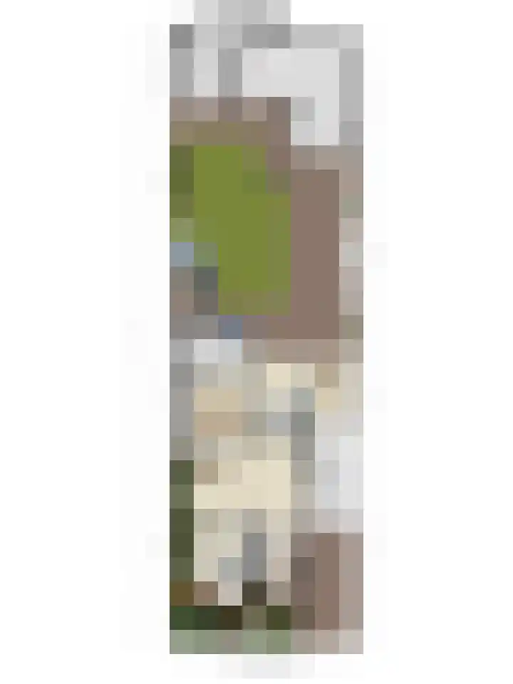 Dreef 72 Veldhoven thumbnail 54
