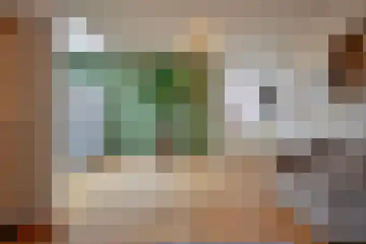 Dreef 72 Veldhoven thumbnail 7