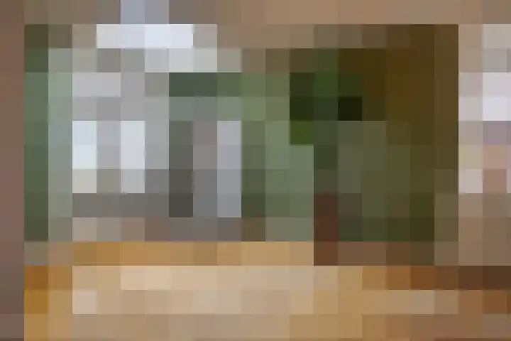 Dreef 72 Veldhoven thumbnail 8