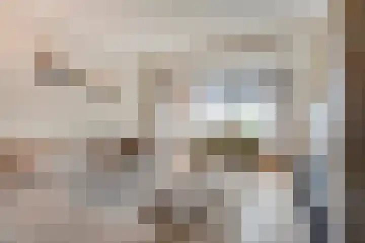 Dreef 72 Vroomshoop thumbnail 13
