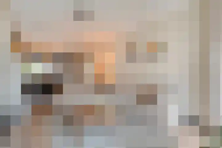 Dreef 72 Vroomshoop thumbnail 14
