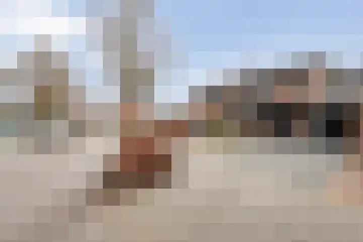 Dreef 72 Vroomshoop foto 2