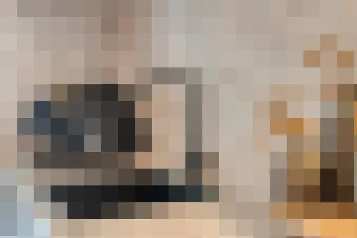 Dreef 72 Vroomshoop thumbnail 23
