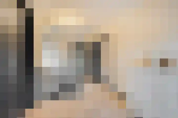 Dreef 72 Vroomshoop thumbnail 27