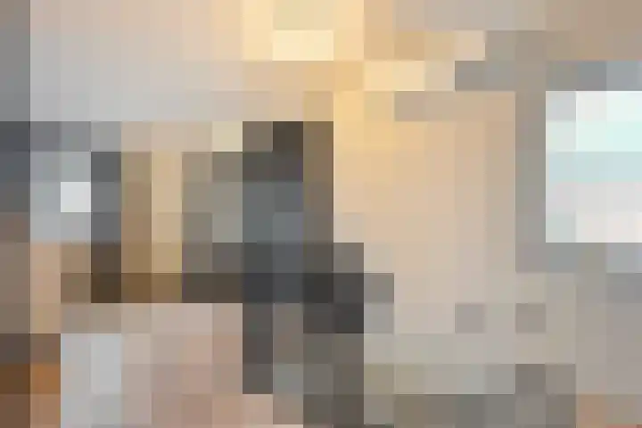 Dreef 72 Vroomshoop thumbnail 28