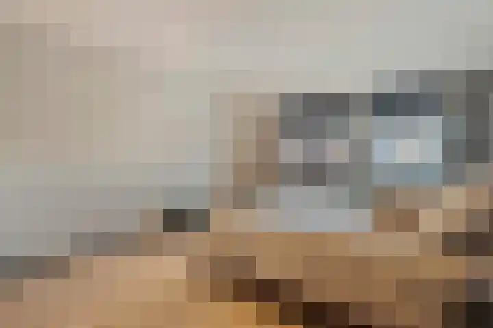Dreef 72 Vroomshoop thumbnail 29