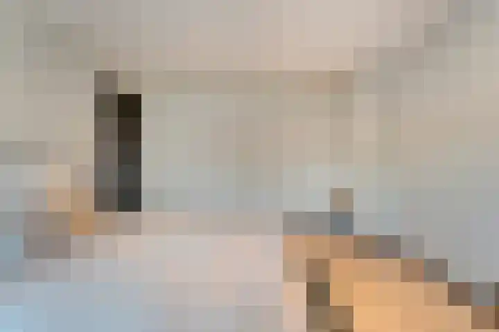 Dreef 72 Vroomshoop thumbnail 30