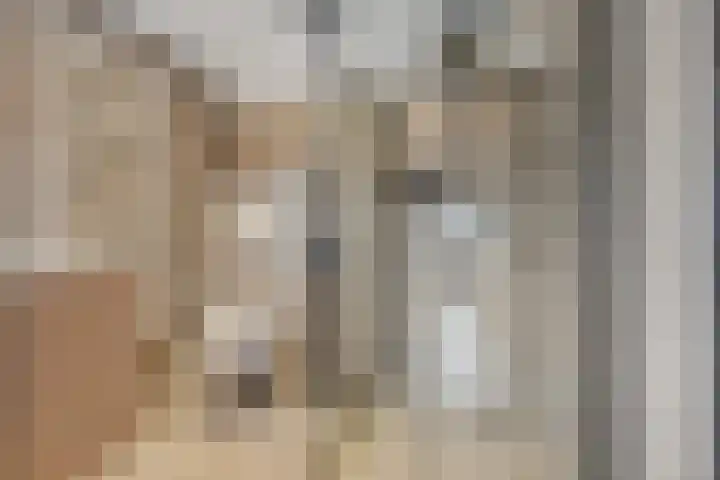 Dreef 72 Vroomshoop thumbnail 33