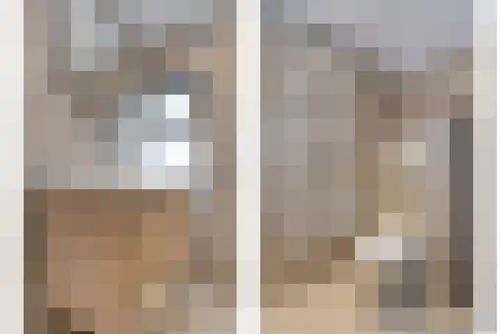 Dreef 72 Vroomshoop thumbnail 34