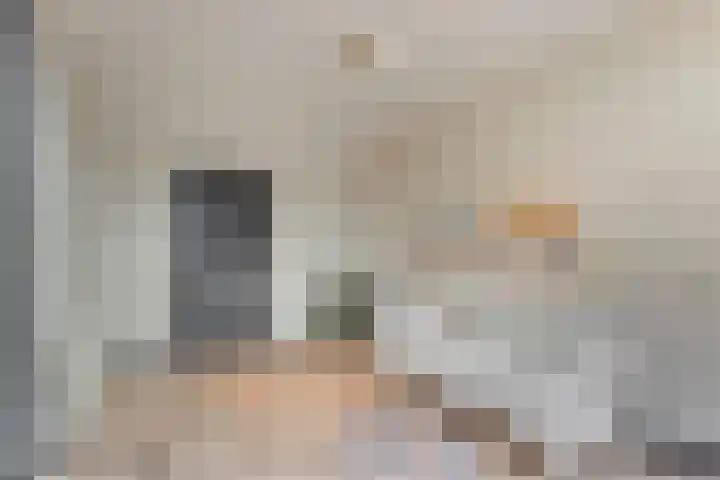 Dreef 72 Vroomshoop thumbnail 35