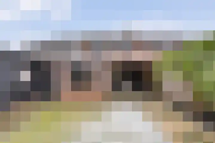 Dreef 72 Vroomshoop thumbnail 37