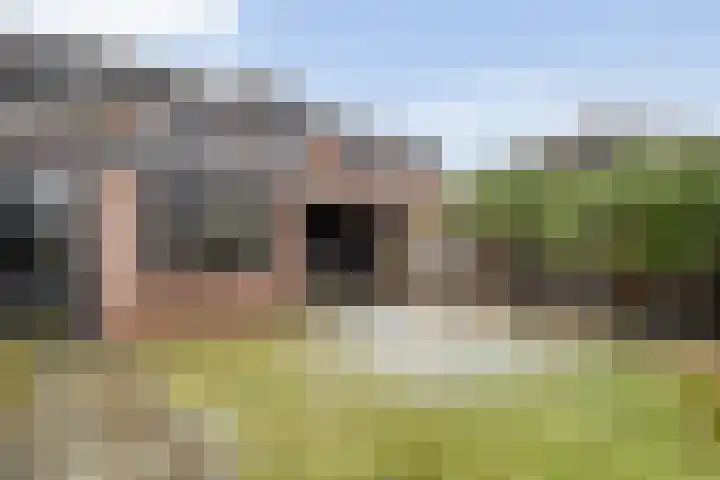 Dreef 72 Vroomshoop thumbnail 38