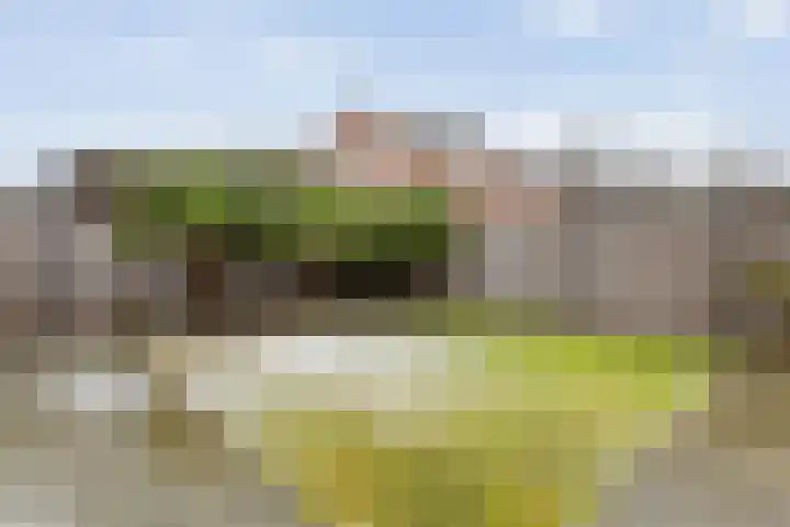 Dreef 72 Vroomshoop thumbnail 41