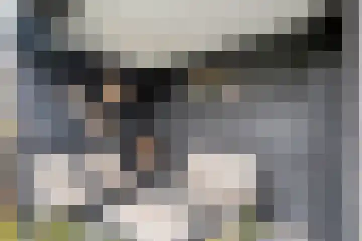 Dreef 72 Vroomshoop thumbnail 42
