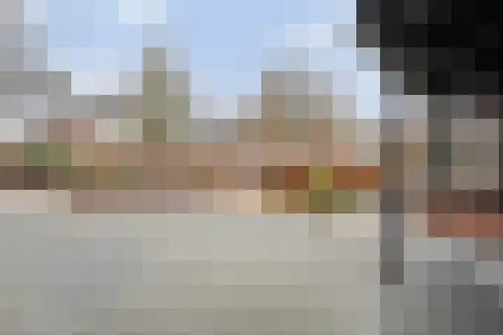 Dreef 72 Vroomshoop thumbnail 8