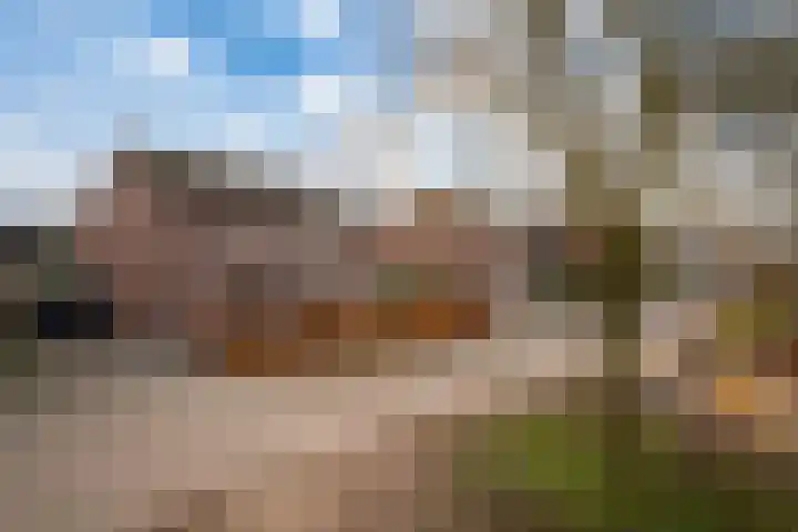 Dreef 8 Didam