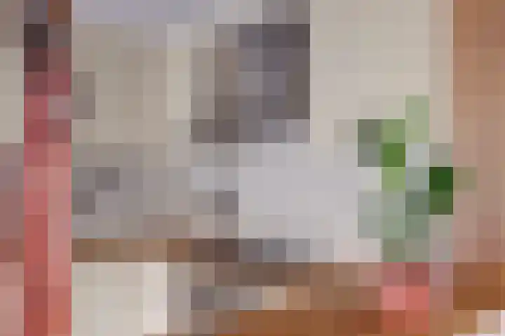 Dreef 81 Leersum thumbnail 17