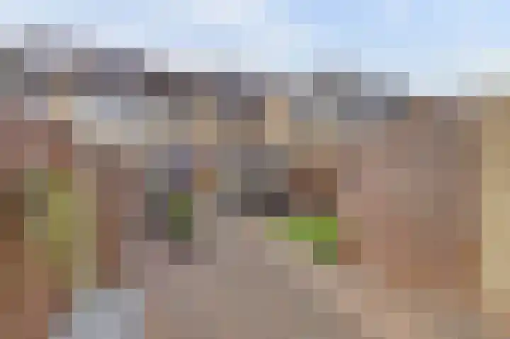 Dreef 81 Leersum thumbnail 36