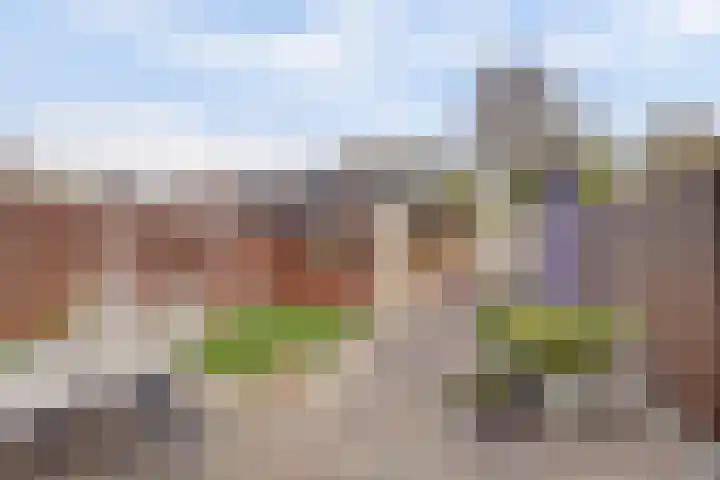 Dreef 81 Leersum thumbnail 37