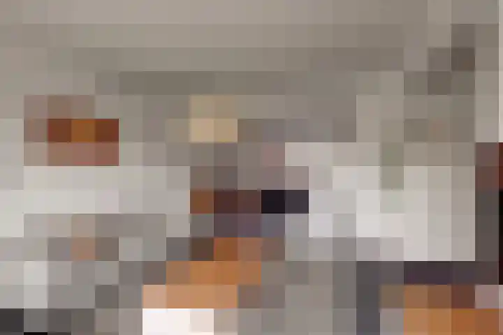 Dreef 81 Leersum thumbnail 4
