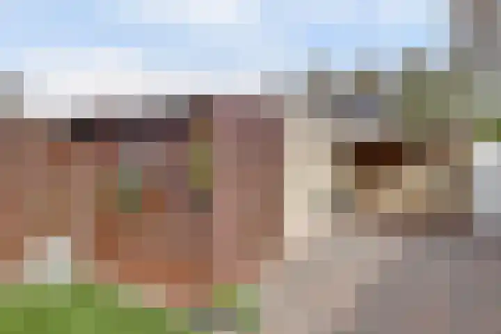 Dreef 81 Leersum thumbnail 41