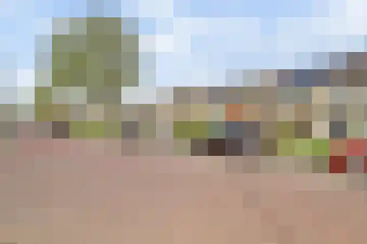 Dreef 81 Leersum thumbnail 47
