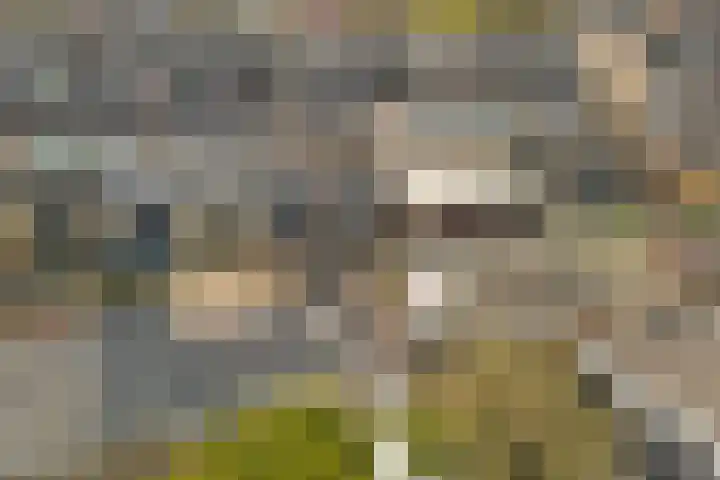 Dreef 81 Leersum thumbnail 50