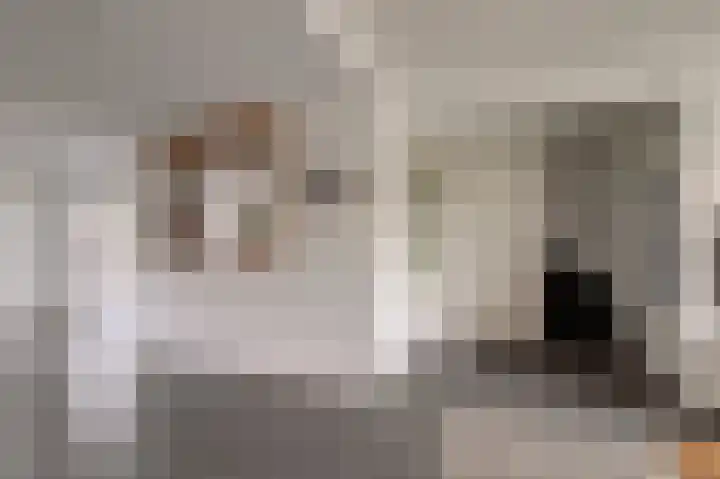 Dreef 81 Leersum thumbnail 7