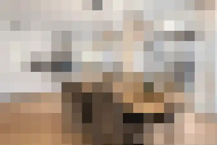Dreef 86 Vroomshoop thumbnail 14