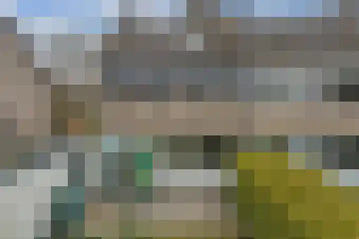 Dreef 86 Vroomshoop thumbnail 15
