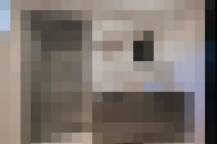 Dreef 86 Vroomshoop thumbnail 25